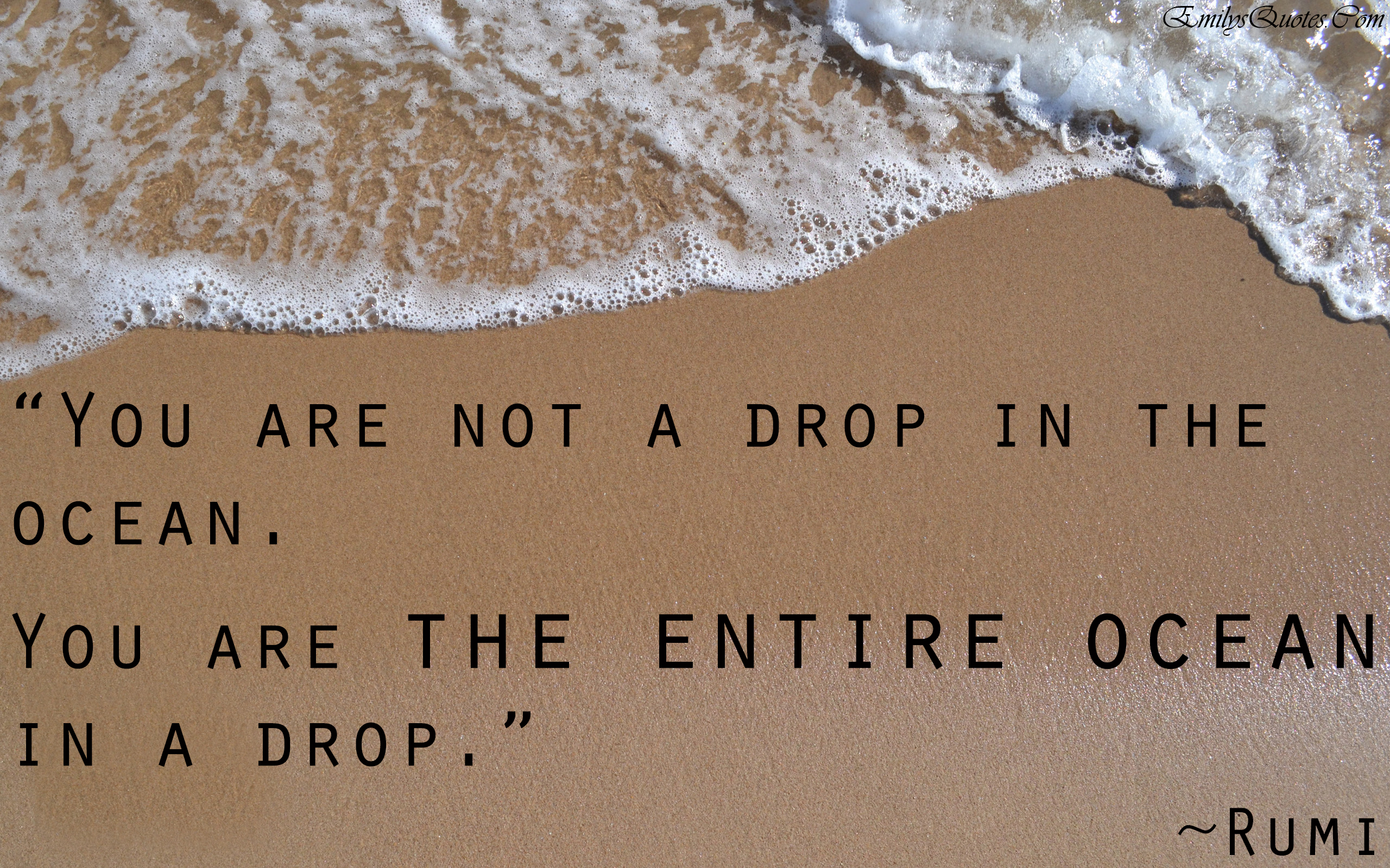 You are not a drop in the ocean. You are the entire ocean