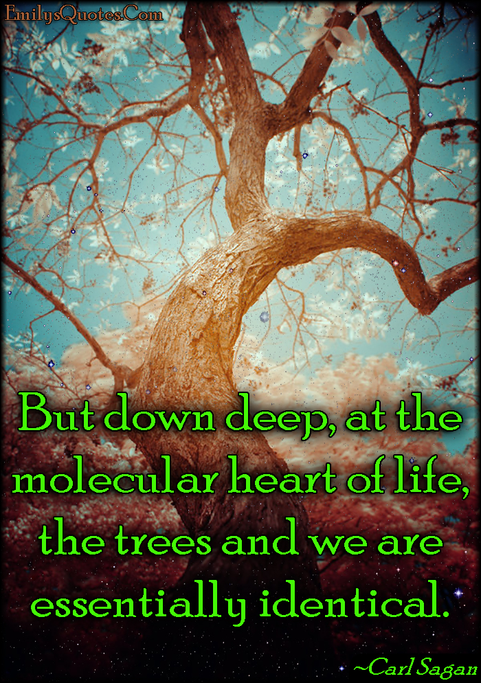 But down deep, at the molecular heart of life, the trees ...