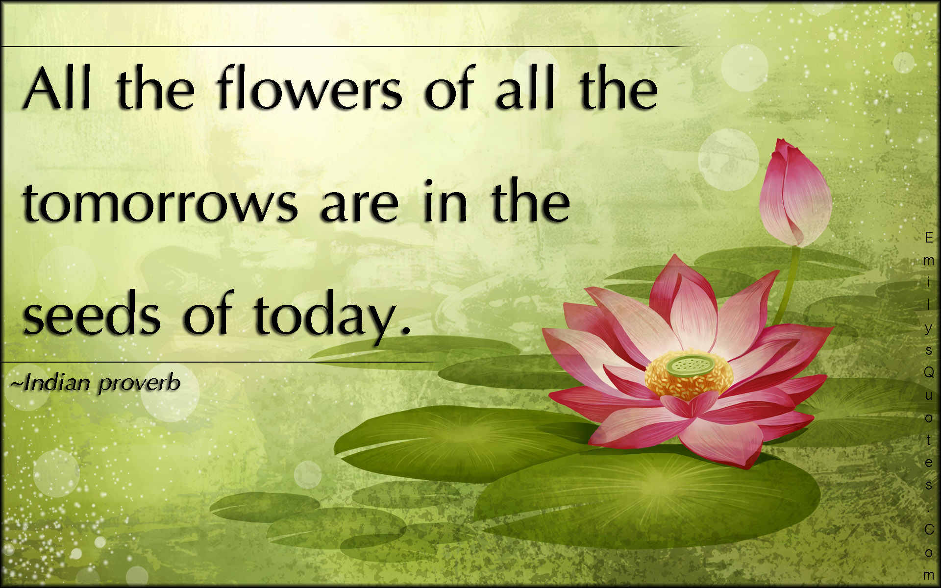 all-the-flowers-of-all-the-tomorrows-are-in-the-seeds-of-today