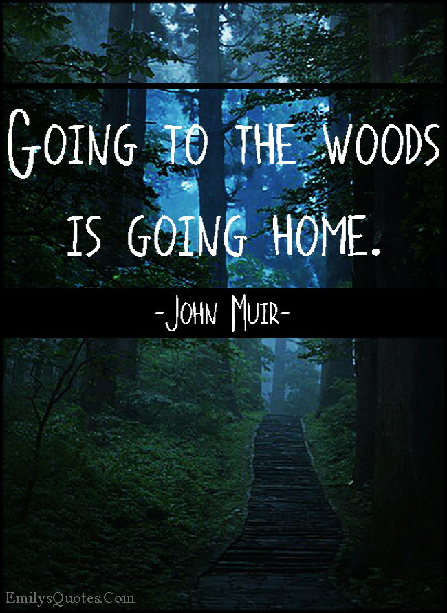 Going to the woods is going home | Popular inspirational quotes at
