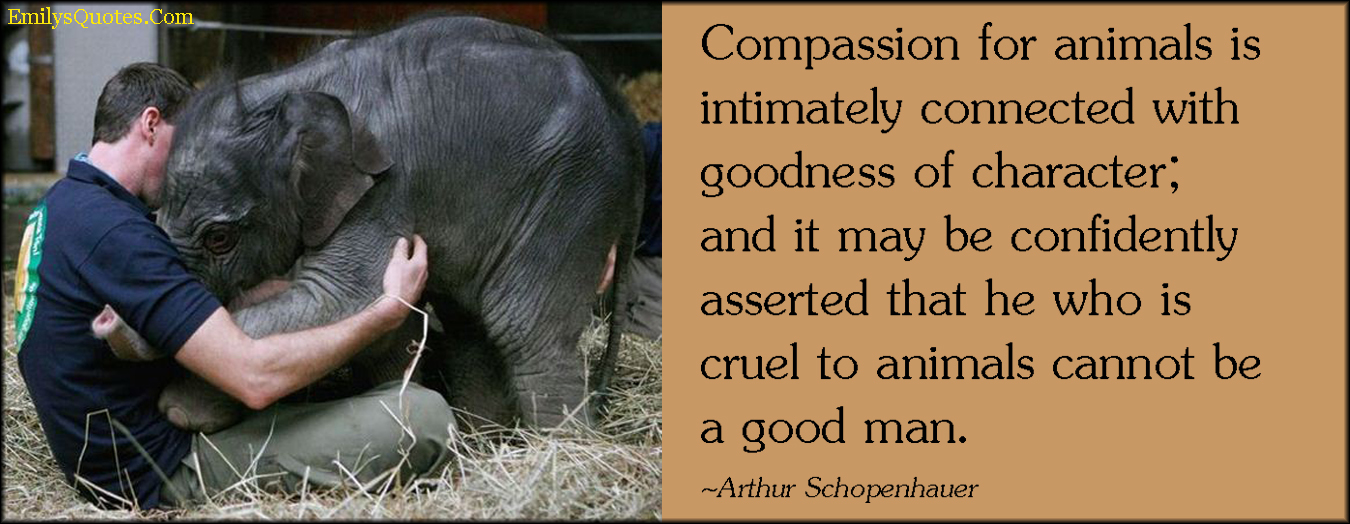 EmilysQuotes.Com-compassion-animals-good