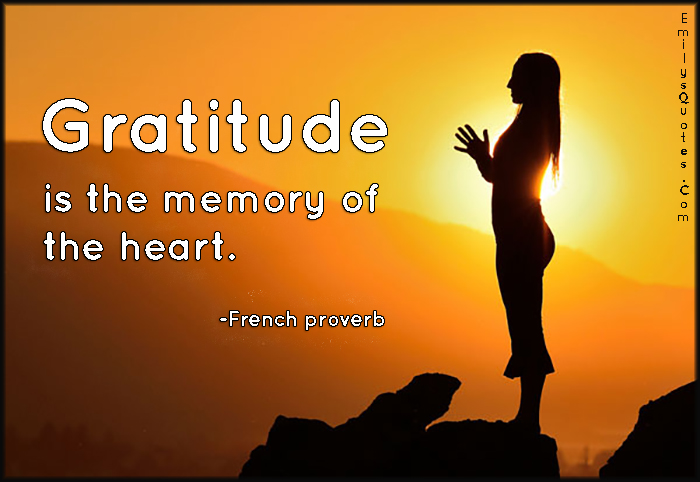 Image result for gratitude