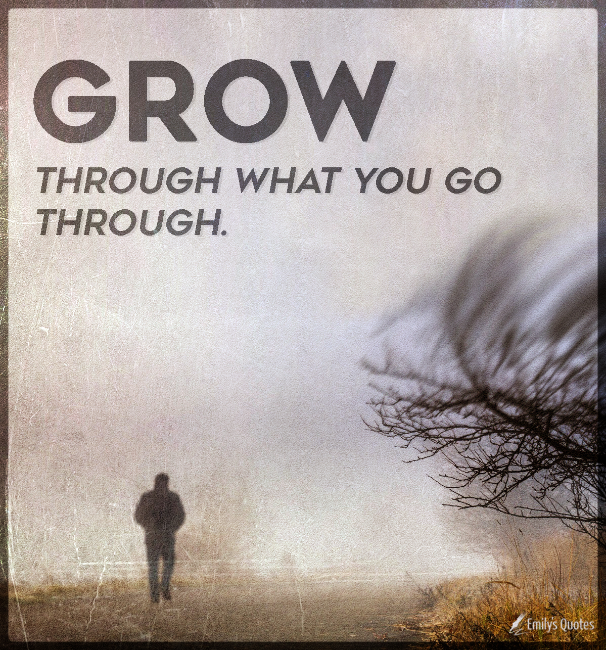 Grow through what you go through | Popular inspirational quotes at