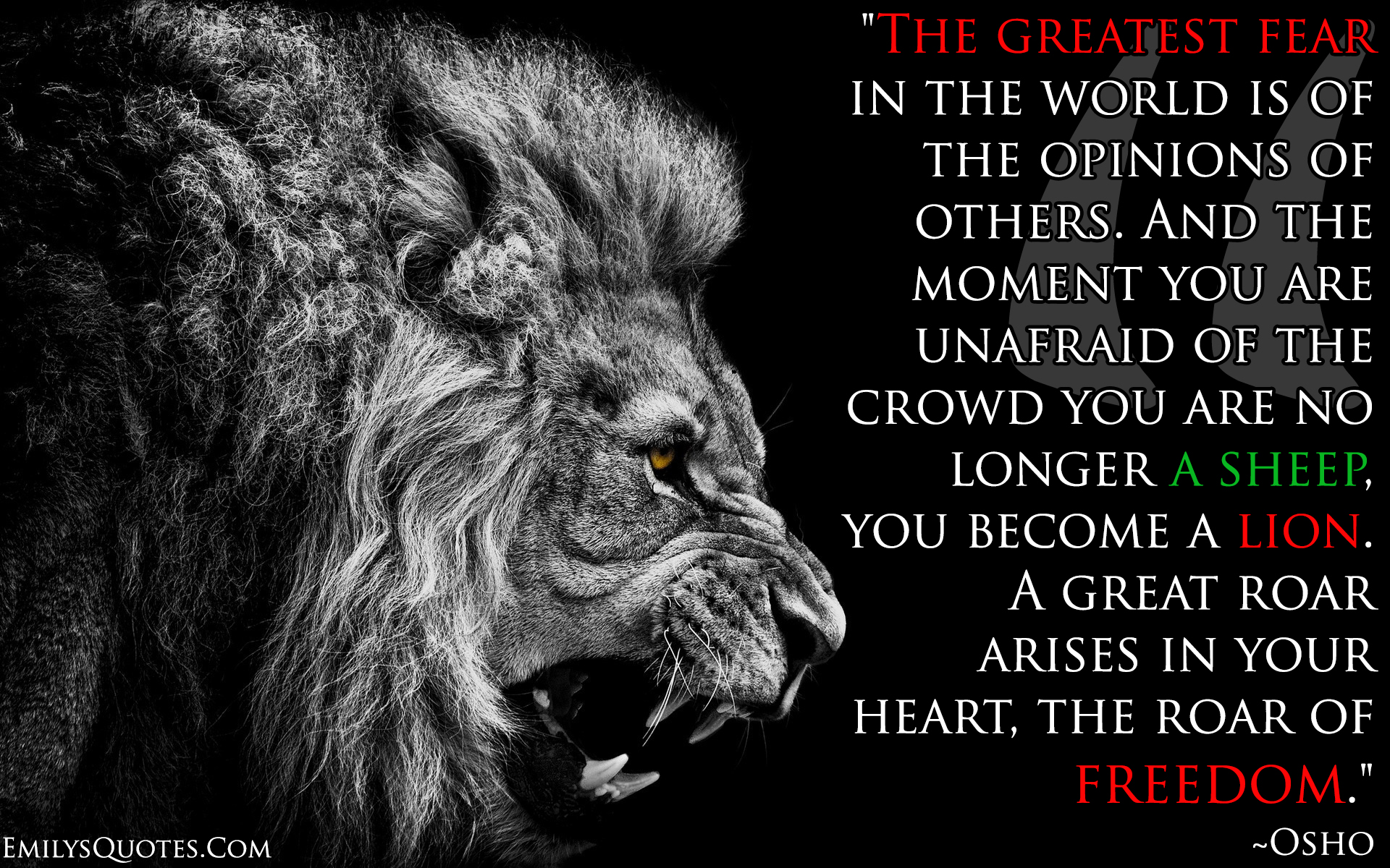 The greatest fear in the world is of the opinions of others. And the moment you are unafraid of the crowd