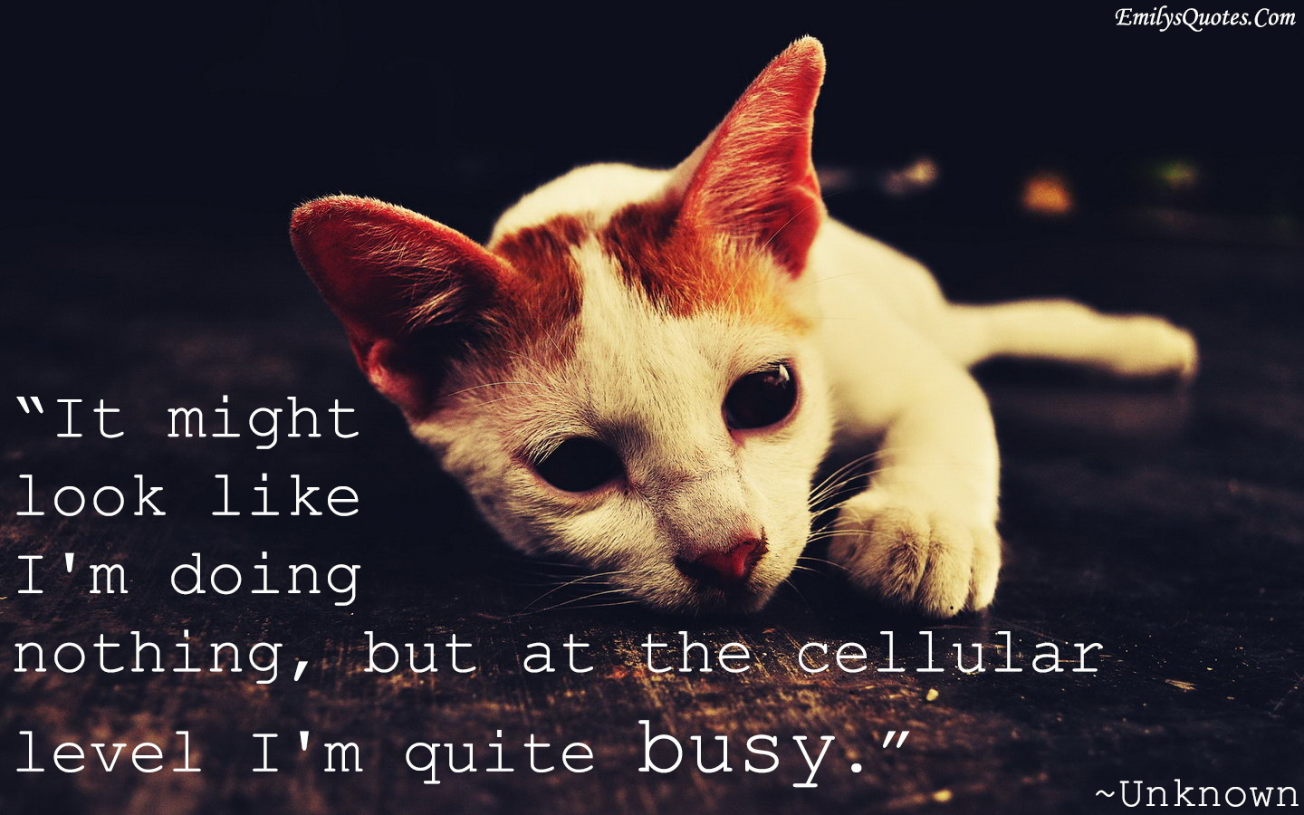 It might look like I'm doing nothing, but at the cellular level I'm quite  busy | Popular inspirational quotes at EmilysQuotes