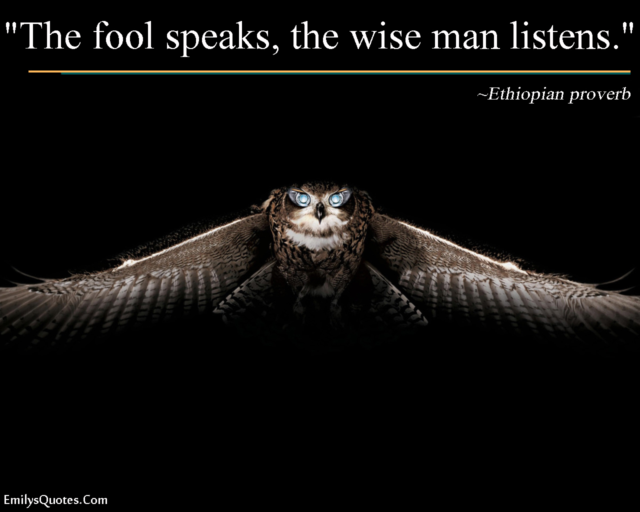 The fool speaks, the wise man listens | Popular ...