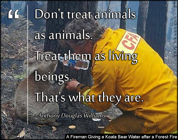 Don't treat animals as animals. Treat them as living beings. That's what  they are | Popular inspirational quotes at EmilysQuotes