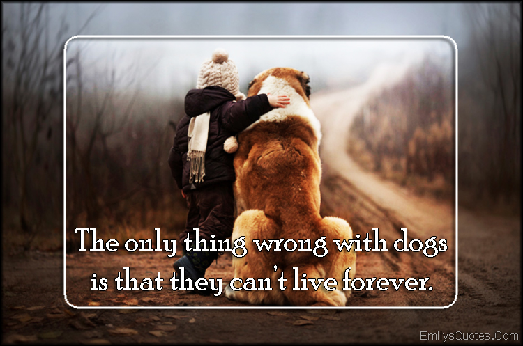 The only thing wrong with dogs is that they can't live forever | Popular  inspirational quotes at EmilysQuotes