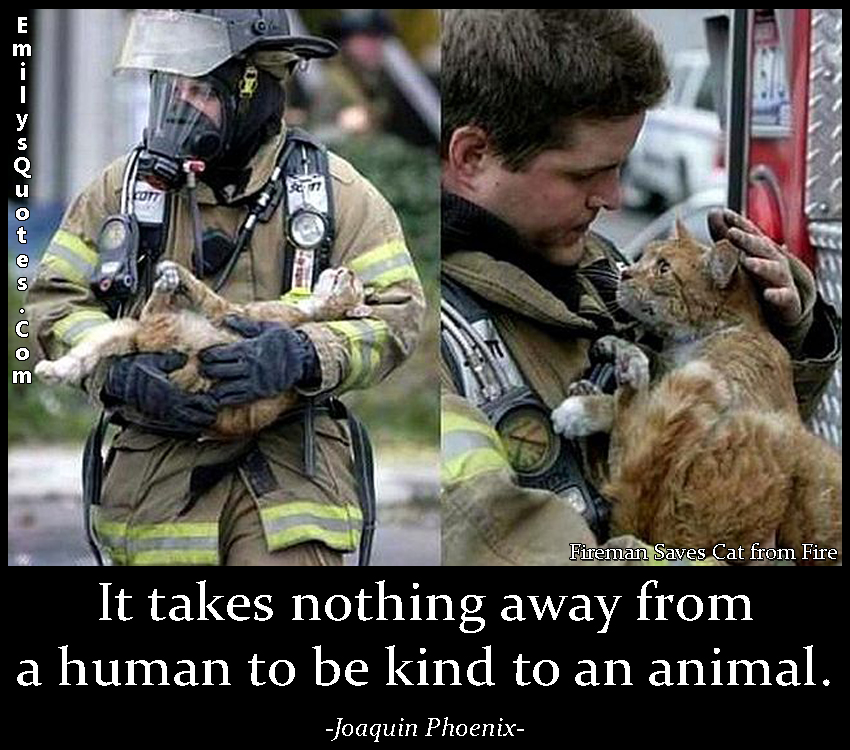 It takes nothing away from a human to be kind to an animal | Popular  inspirational quotes at EmilysQuotes