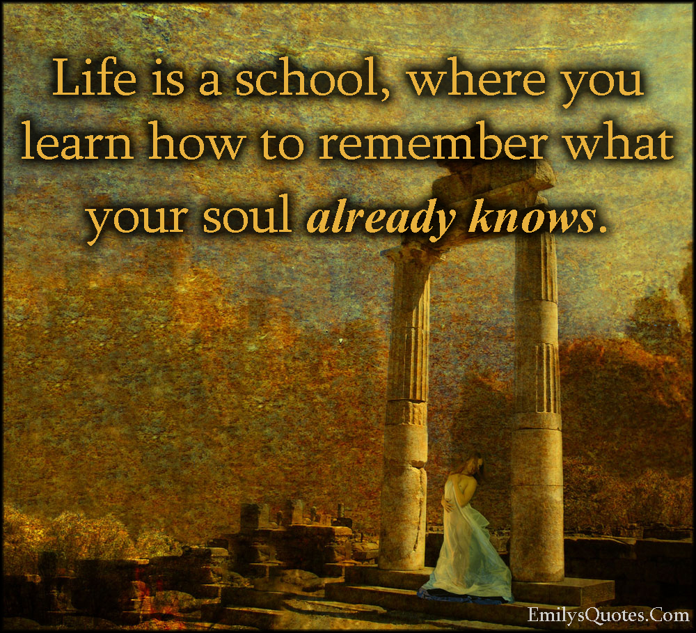 Life is a school, where you learn how to remember what your soul