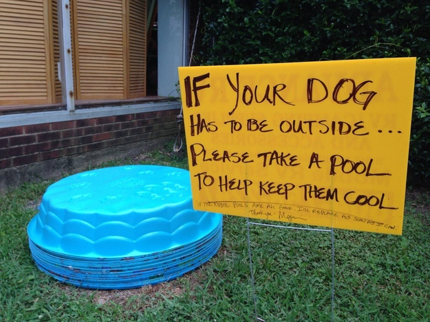 Pictures That Will Restore Your Faith In Humanity - 4. And this person put this outside their house on a particularly hot day.