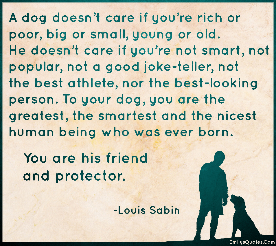 A dog doesn’t care if you’re rich or poor, big or small, young