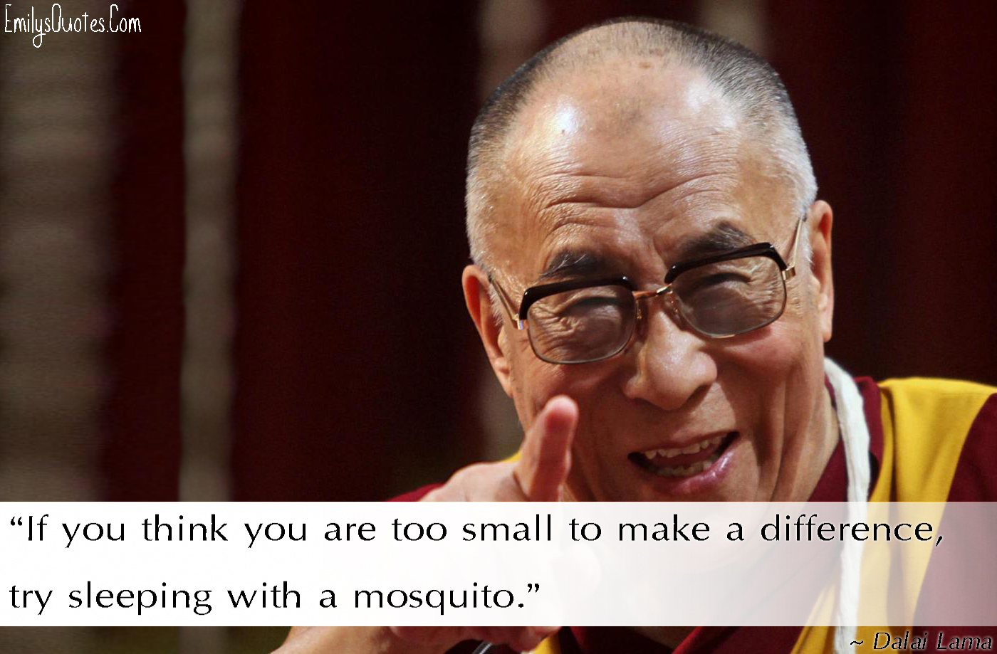 If you think you are too small to make a difference, try sleeping with a mosquito