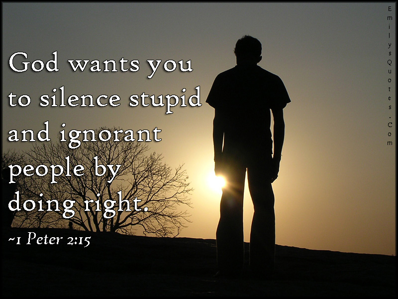 God wants you to silence stupid and ignorant people by doing right