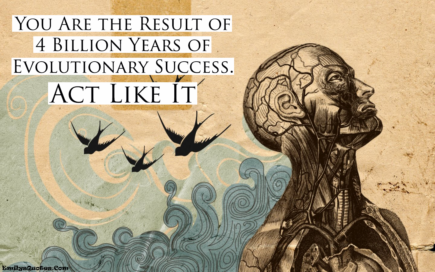 You Are the Result of 4 Billion Years of Evolutionary Success. Act Like It