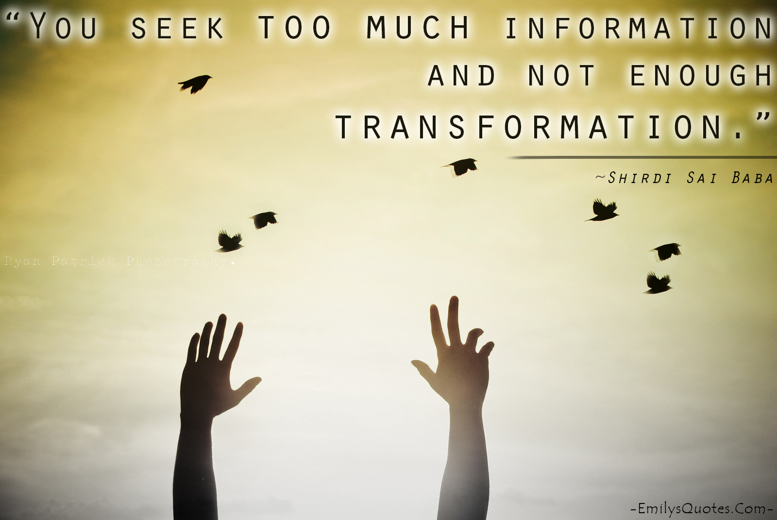 You seek too much information and not enough transformation