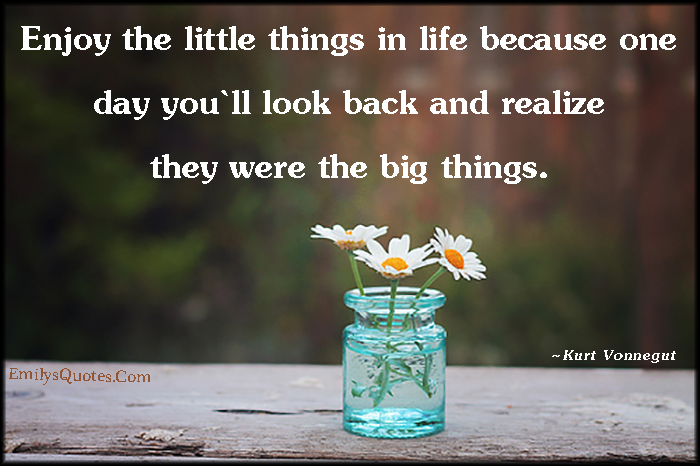 Enjoy the little things in life because one day you`ll look back and realize they were the big things