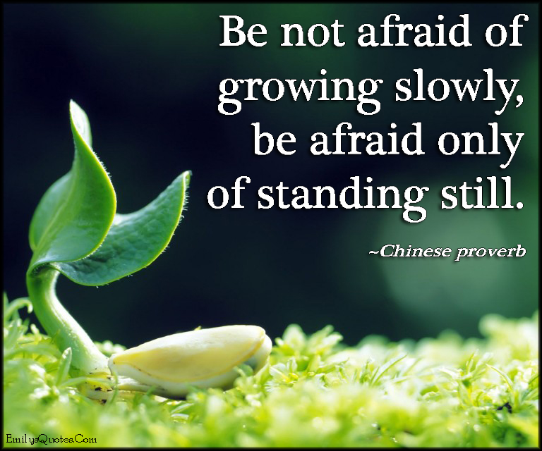 Be not afraid of growing slowly, be afraid only of standing still