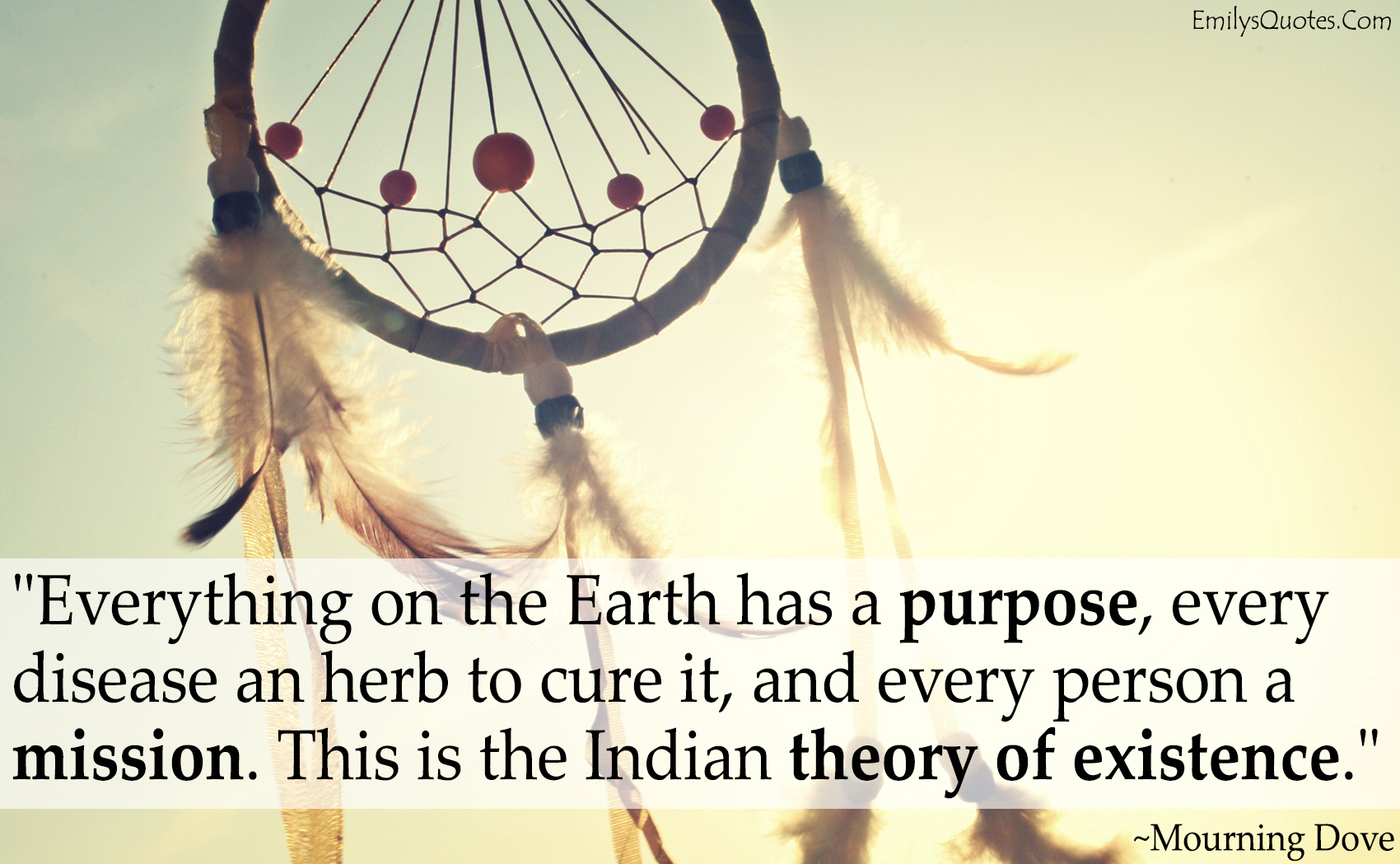 Everything on the earth has a purpose, every disease an herb to cure it, and every person a mission. This is the Indian theory of existence
