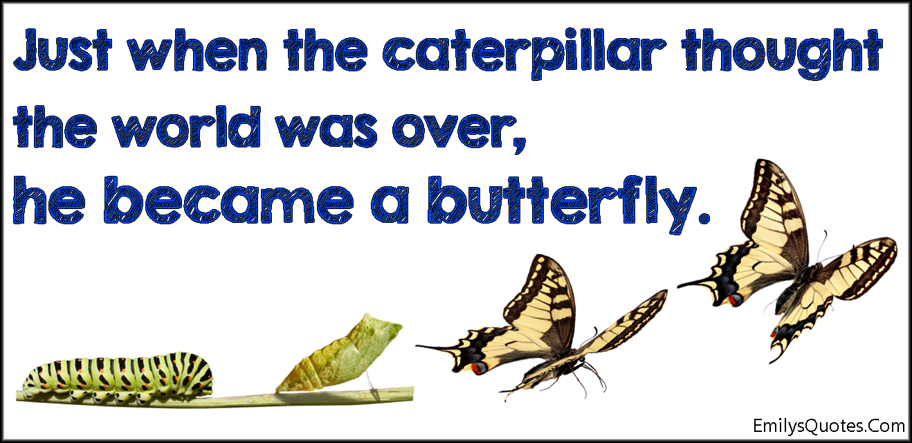 Just when the caterpillar thought the world was over, he became a butterfly
