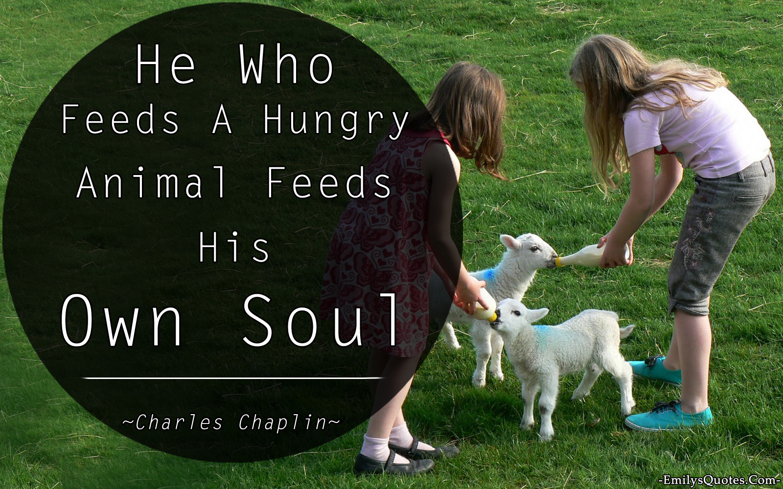 He Who Feeds A Hungry Animal Feeds His Own Soul