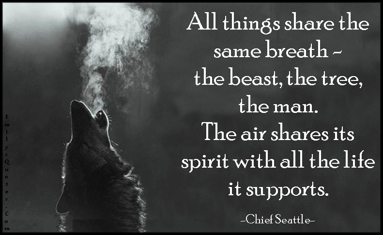 All things share the same breath – the beast, the tree, the man. The air shares its spirit with all the life it supports
