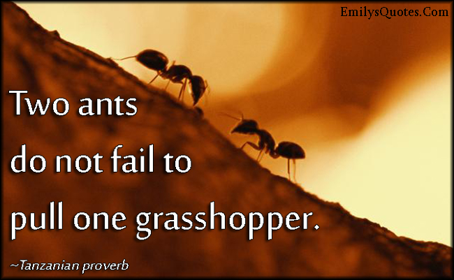 Two ants do not fail to pull one grasshopper
