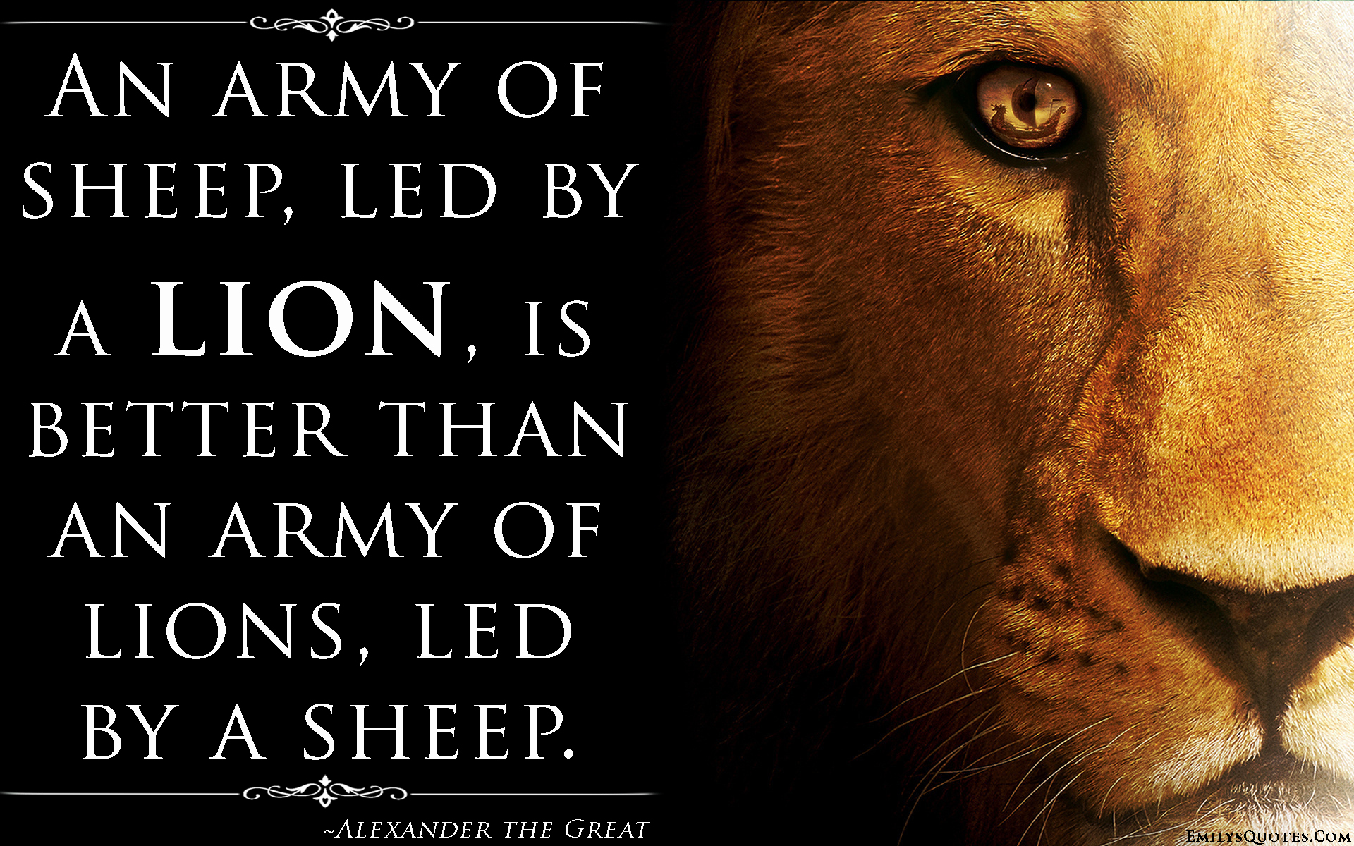An army of sheep, led by a lion, is better than an army of lions, led by a sheep