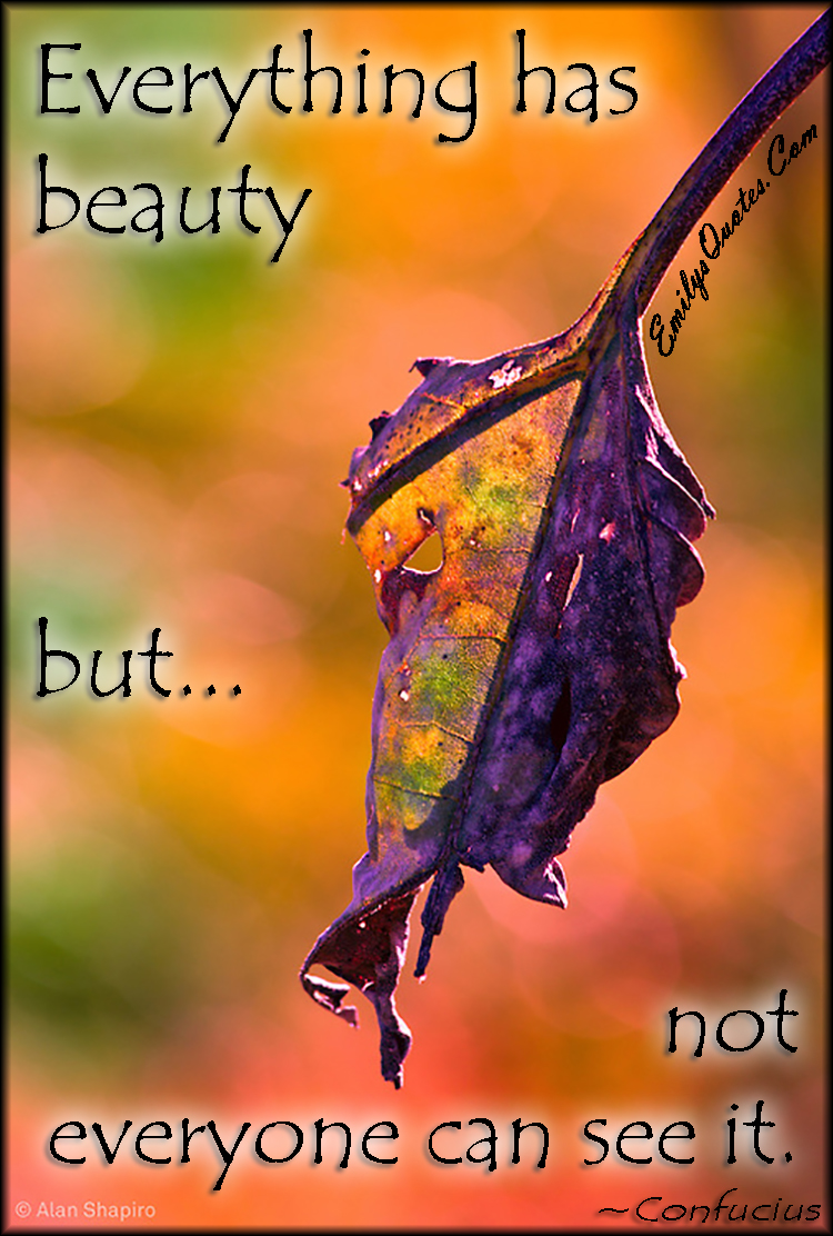 Everything has beauty but not everyone can see it