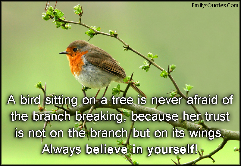 A bird sitting on a tree is never afraid of the branch breaking, because her trust is not on the branch but on its wings. Always believe in yourself!