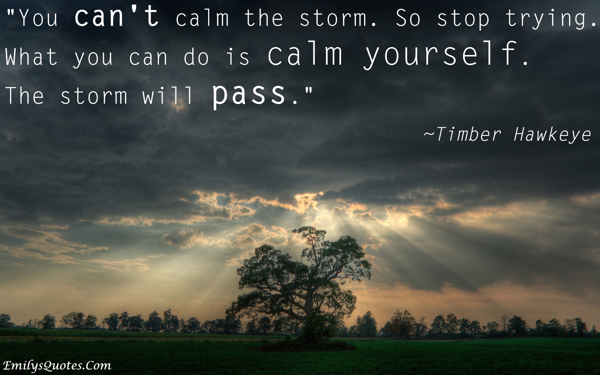You can’t calm the storm. so stop trying. What you can do is calm yourself. The storm will pass
