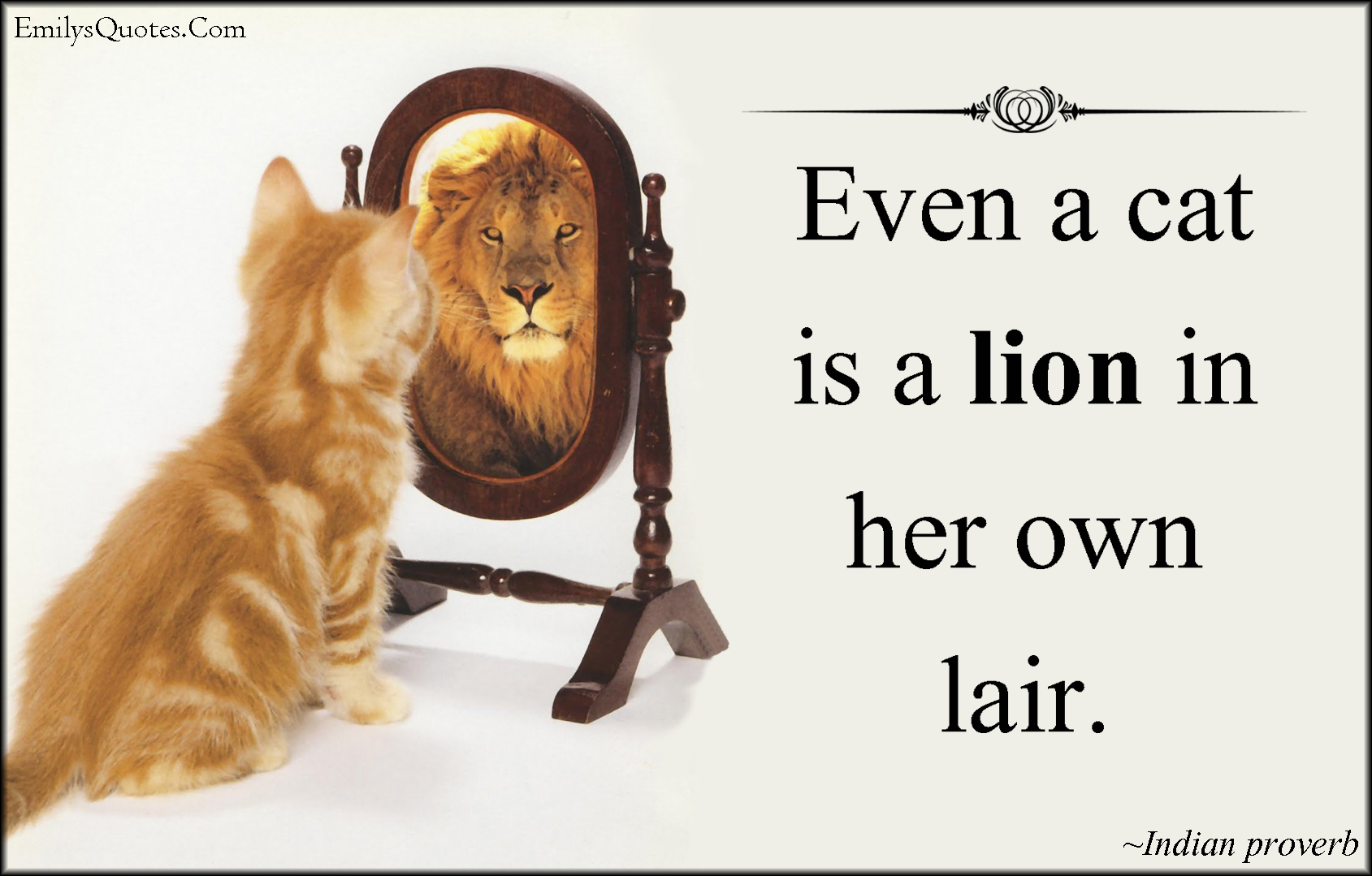 Even a cat is a lion in her own lair