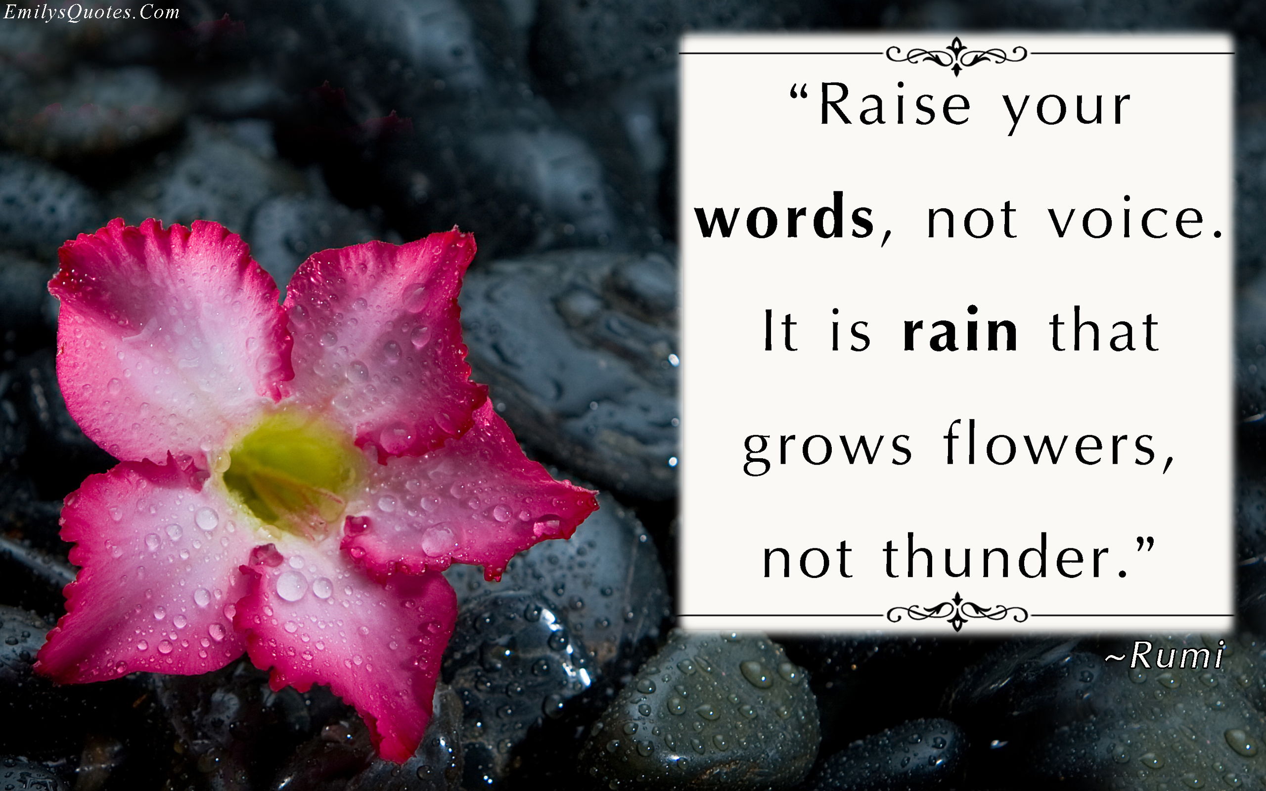 Raise your words, not voice. It is rain that grows flowers, not thunder