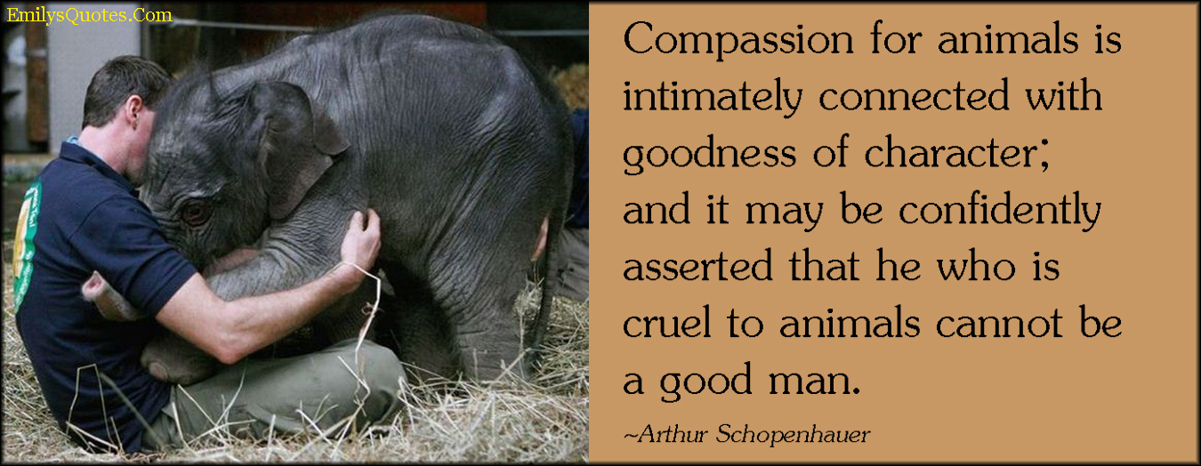 Compassion for animals is intimately connected with goodness of character; and it may be confidently asserted that he who is cruel to animals cannot be a good man