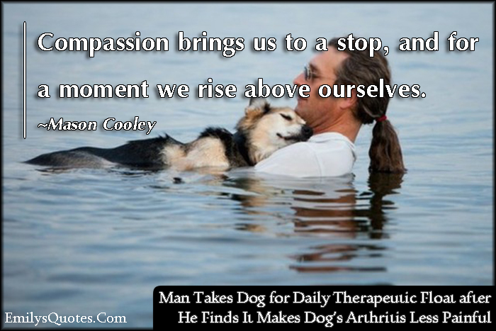 Compassion brings us to a stop, and for a moment we rise above ourselves