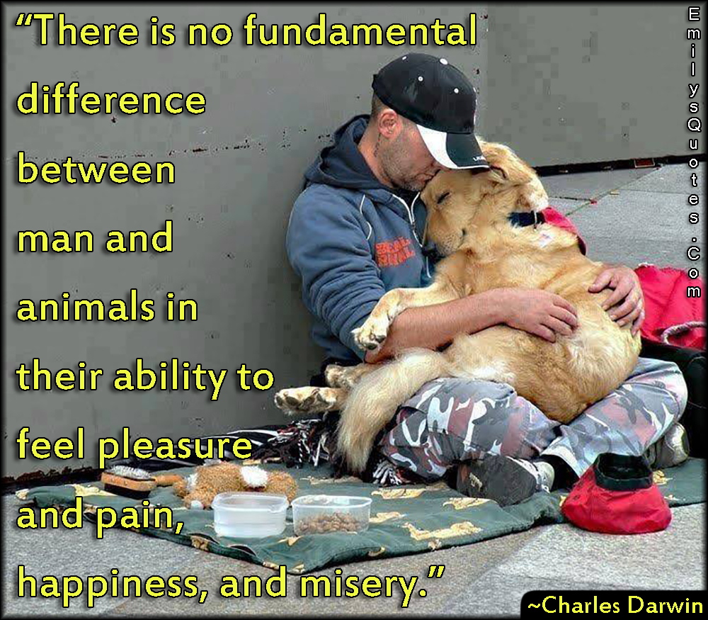 There is no fundamental difference between man and animals in their ability to feel pleasure and pain, happiness, and misery
