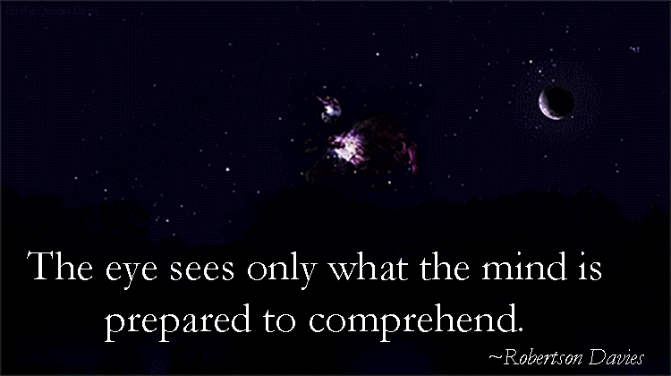 The eye sees only what the mind is prepared to comprehend