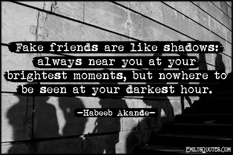 Fake friends are like shadows: always near you at your brightest moments, but nowhere to be seen at your darkest hour