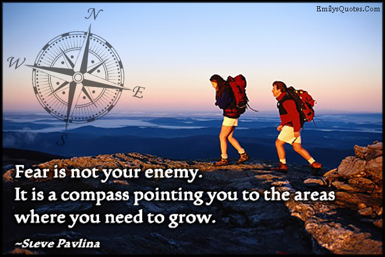 Fear is not your enemy. It is a compass pointing you to the areas where you need to grow