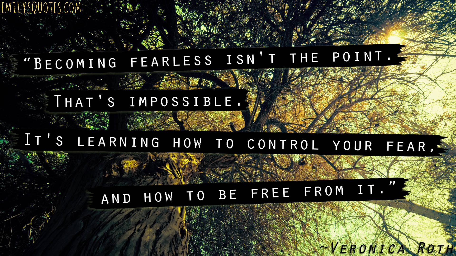 Becoming fearless isn’t the point. That’s impossible. It’s learning how to control your fear, and how to be free from it