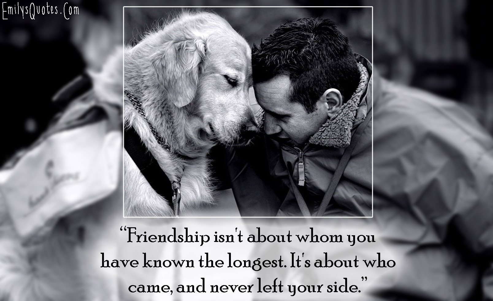 Friendship isn’t about whom you have known the longest. It’s about who came, and never left your side