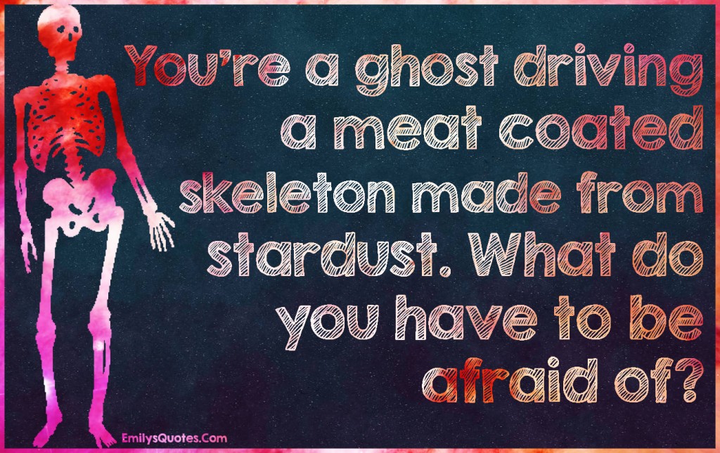 You’re a ghost driving a meat coated skeleton made from stardust. What do you have to be afraid of?