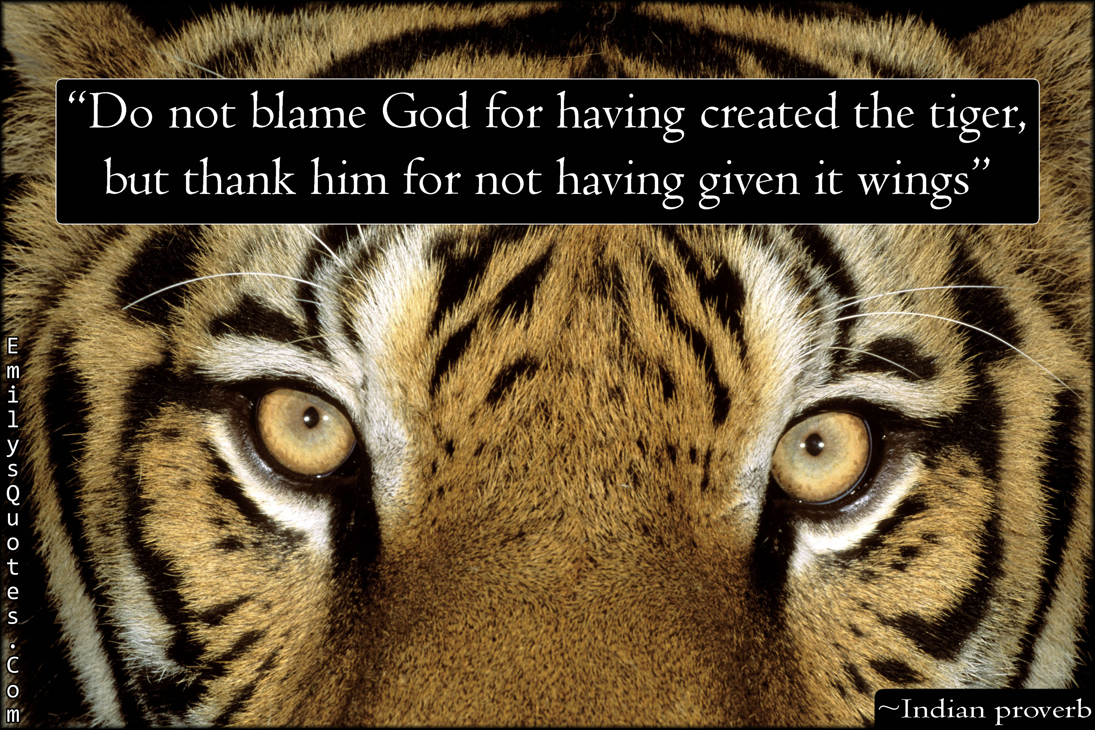 Do not blame God for having created the tiger, but thank him for not having given it wings