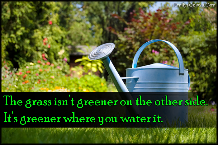 The grass isn’t greener on the other side. It’s greener where you water it