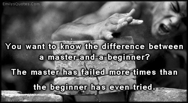 You want to know the difference between a master and a beginner? The master has failed more times than the beginner has even tried