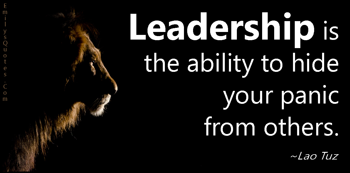 Leadership is the ability to hide your panic from others