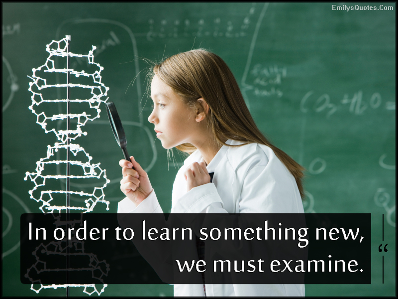 In order to learn something new, we must examine