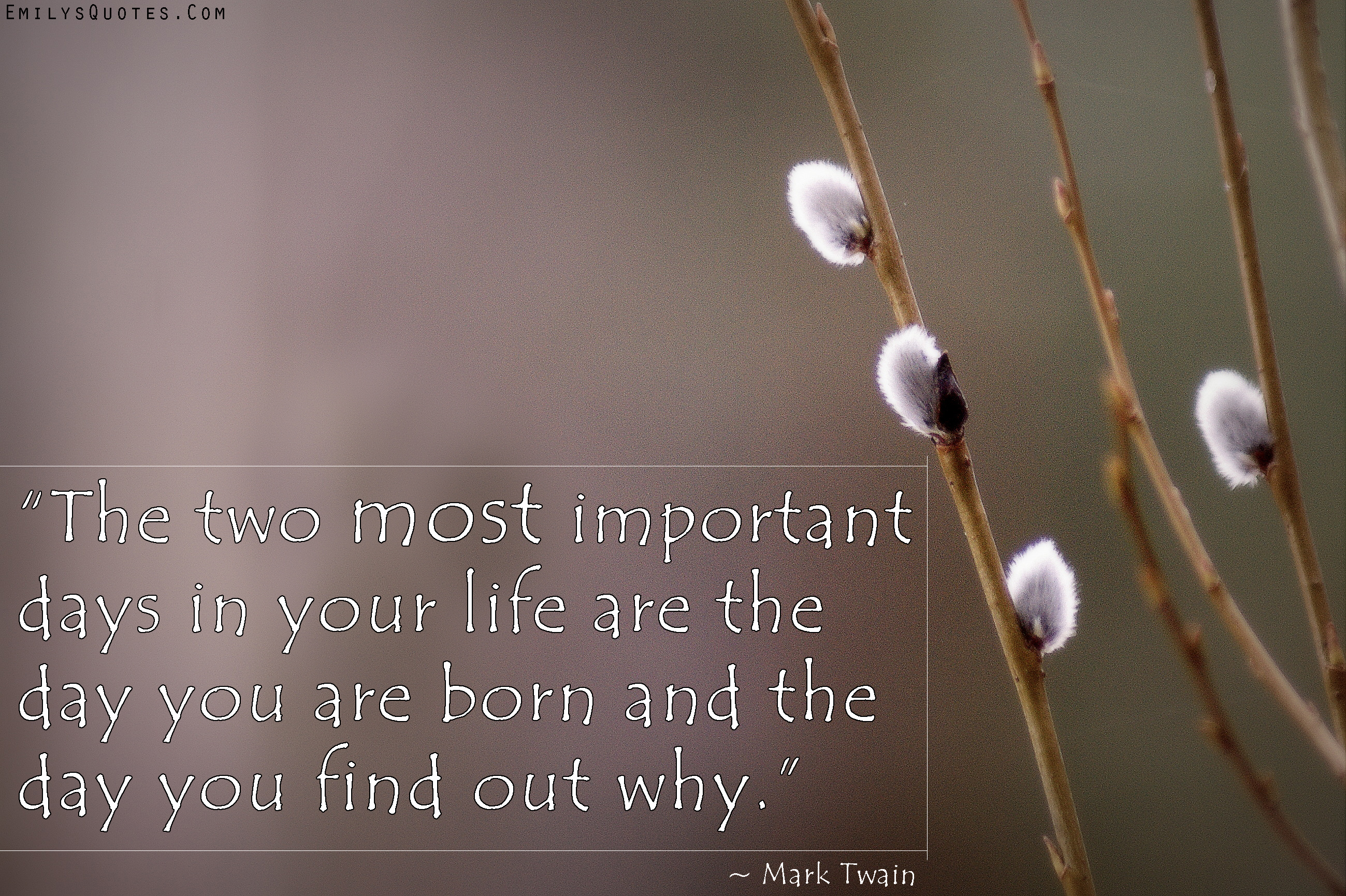 The two most important days in your life are the day you are born and the day you find out why