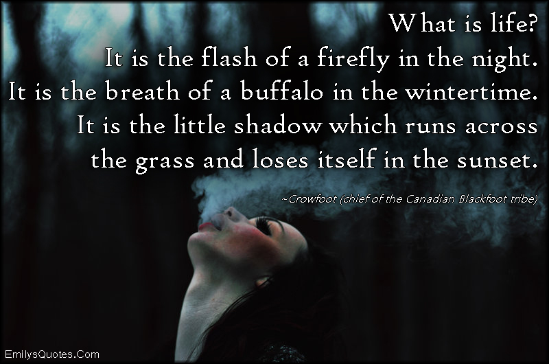 What is life? It is the flash of a firefly in the night. It is the breath of a buffalo in the wintertime. It is the little shadow which runs across the grass and loses itself in the sunset