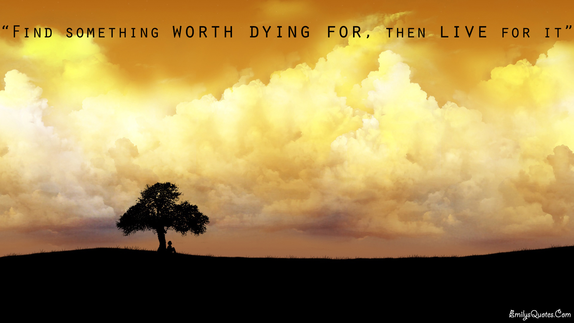 Find something worth dying for, then live for it